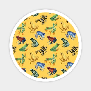 Frogs on yellow Magnet